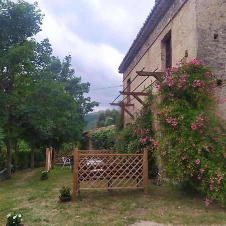 Agriturismo Colloreto Morano Calabro Exterior foto